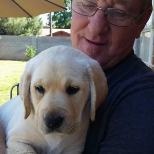 Meet your Posher, Don